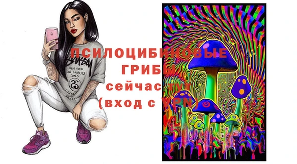 каннабис Михайловка